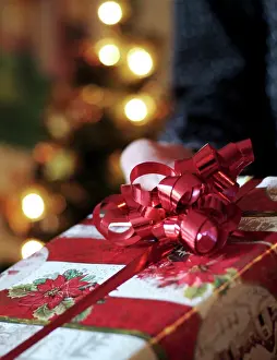 Holidays Prints: Holding Christmas gift