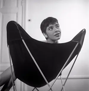 Home Décor Prints: Home decor of the 1950s. The young actress Margit Carlqvist is sitting in a 1950s made popular Butterfly chair
