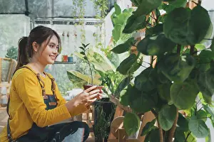 Home gardening, love of plants and care. Small business