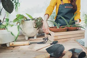 Flower Shop Prints: Home gardening, love of plants and care. Small business