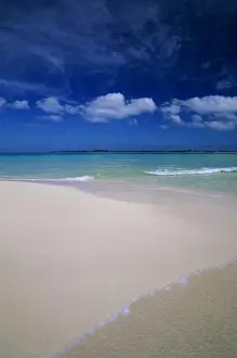 Honduras Prints: Honduras, Bay Islands, Utila Island, White Sand Beach