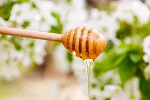 Tasty Prints: Honey dripping from a wooden honey spoon on natural background with flowers