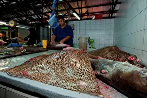 Knife Prints: Honeycomb whipray (Himantura undulata) being butchered for sale in a fish market, Brunei