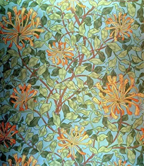 Paintings And Illustration Prints: Honeysuckle Design William Morris (1834-1896/British) Victoria & Albert Museum, London