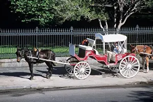 Horse Drawn Prints: Horse and carriage outside Jackson Square