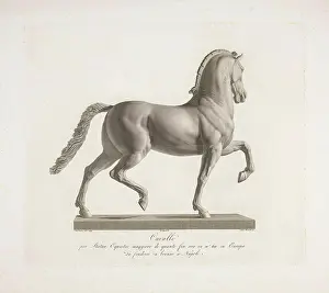 Horse; Cavallo; Sculptures by Antonio Canova. Sculpture of a horse by the Italian sculptor Antonio Canova