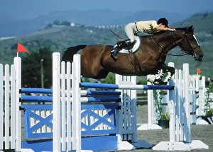 Level Prints: Horse jumping barrier during equestrian competition