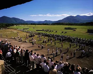 Recreation Prints: Horse Racing, Killarney Racecourse, Co Kerry, Ireland
