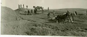 Horsedrawn Equipment. Central Plains Region (Kansas City)