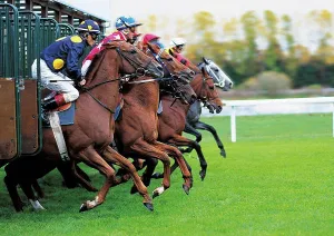Race Prints: horseraces, racing horses come from the start box