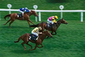 Three Animals Prints: Horses with jockey gallopping, horse race