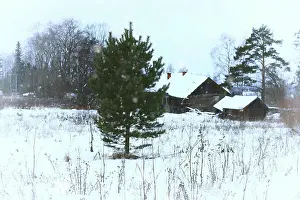 Berg Prints: house in country rural Winter house in country rural in Winter
