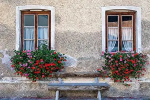 House Wall Prints: House facade, windows and floral decorations