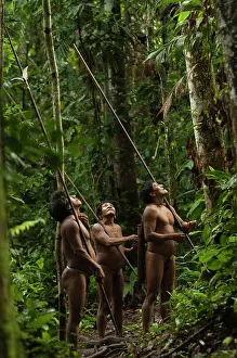 Ecuador Prints: Huaorani Indians, Mipo Wira, Ontogamo Kaimo & Oaoa Yate out hunting with their blowguns