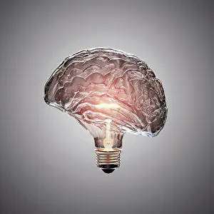 Anatomy Prints: Human brain in shape of light bulb