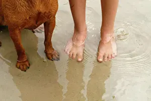 Holidays Prints: human feet next to dog paws