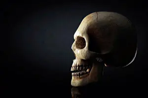 Graphic Prints: Human skull, illustration