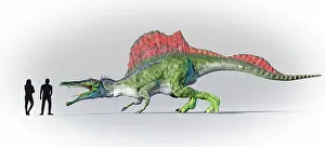 Giant Prints: Humans compared in scale to Spinosaurus