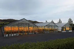 Illumination Prints: Hveragerdi Greenhouse Village; Hveragerdi, Arnessysla, South Iceland