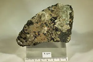 Mineral Prints: Hydromagnesite. minerals. North America; USA; California; San Francisco County; San Francisco
