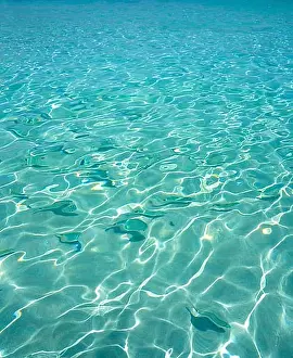 Shores Prints: Ibiza Portinatx Arenal Petit beach clear water fishes in Balearic Islands