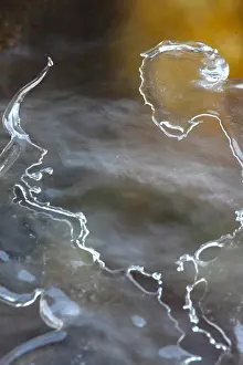 Natural Pattern Prints: Ice