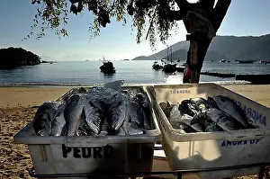 Exterior Photograph Prints: Ice-cooled fish for sale at the beach