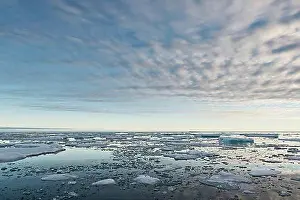Body Of Water Prints: Ice floes, edge of the pack ice