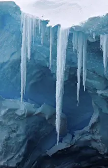 Actions Prints: Ice stalactites suspended from a coast cliff Denison Cape
