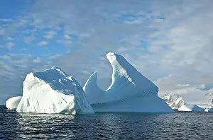 Antarctica Prints: Icebergs in the Southern Ocean, Antarctic Peninsula, Antarctica