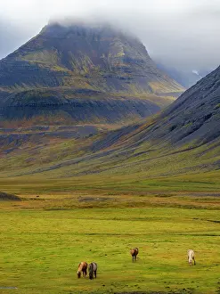 Rain Prints: Iceland. Haukadalur in Dyrafjordur during autumn