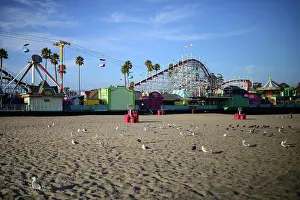 Seagulls Prints: Iconic amusement park in Santa Cruz State beach, California