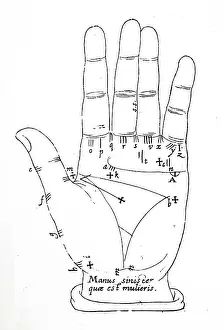 Created Prints: Illustration showing the general lines of the left hand of a female