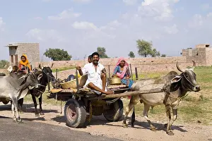 Cart Prints: India, Rajasthan, Jodhpur, Great Indian Thar Desert