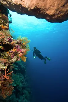 Model Release Prints: Indonesia, South Sulawesi Province