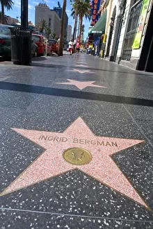 Star Prints: Ingrid Bergman star, Walk of Fame