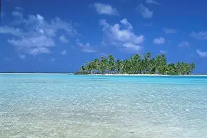 Isolated Prints: Insel Motu under blue sky, Atoll Rangiroa