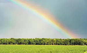 Farm Prints: An intense full of color rainbow appears over a Louisiana farm field