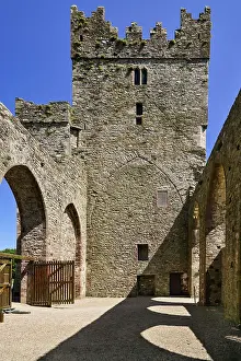 Republic Of Ireland Prints: Ireland, County Wexford, Tintern Abbey, 13th century Cistercian Abbey