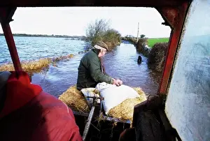 Canal Prints: Ireland; Flooding In The West Of Ireland