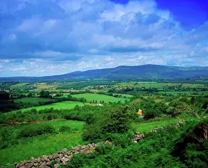 Pastoral Prints: Irish countryside