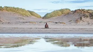 Seascape Prints: An Iron Man seen between the sand dunes on Crosby Beach