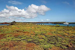Ecuador Prints: Isla Santa Cruz, Galapagos Islands, Ecuador, South America