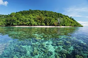 Tropical Prints: Island of Maganting