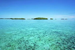 Australasia Prints: Islands, Palau, Micronesia, Oceania