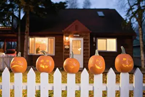 Lighted Prints: Jack-O-Lantern Faces Stuck On Top Of The Fence Boards Of White Picktet Fence With A House In Background At Twilight