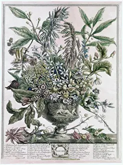January Prints: January 1730 H. Fletcher (ca.18thC. British) Lithograph
