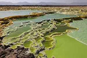 Terrace Prints: January 27, 2011 - Dallol geothermal area
