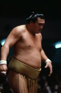 Japan, Honshu, Ishikawa, Wajima. Sumo Grand Champion