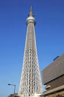 Asakusa Prints: Japan, Honshu, Kanto, Tokyo, Asakusa, Skytree Tower